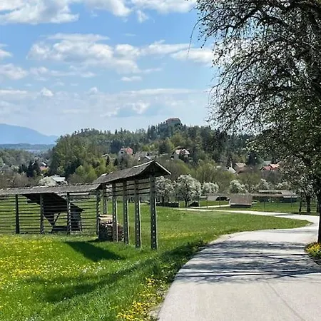 Mountain Vista