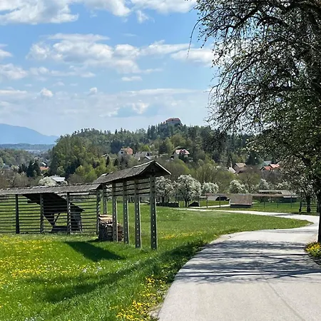Сasa de vacaciones Mountain Vista Bled