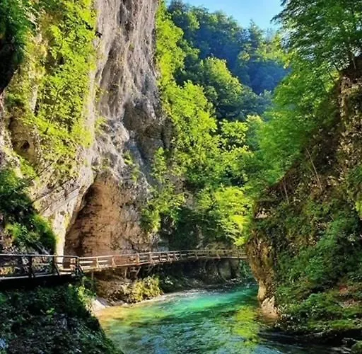 Počitniška hiša Mountain Vista *